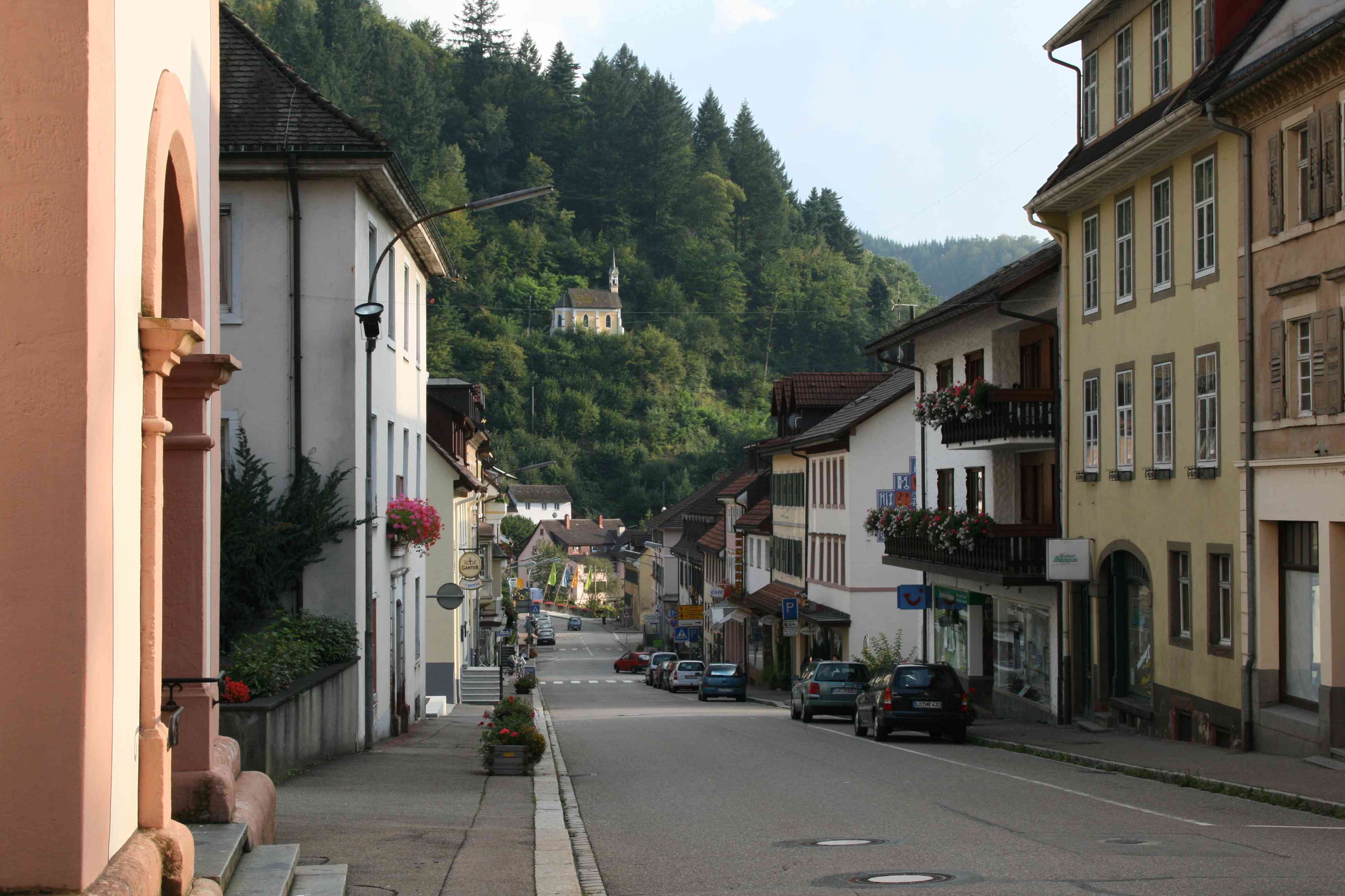 Zell004